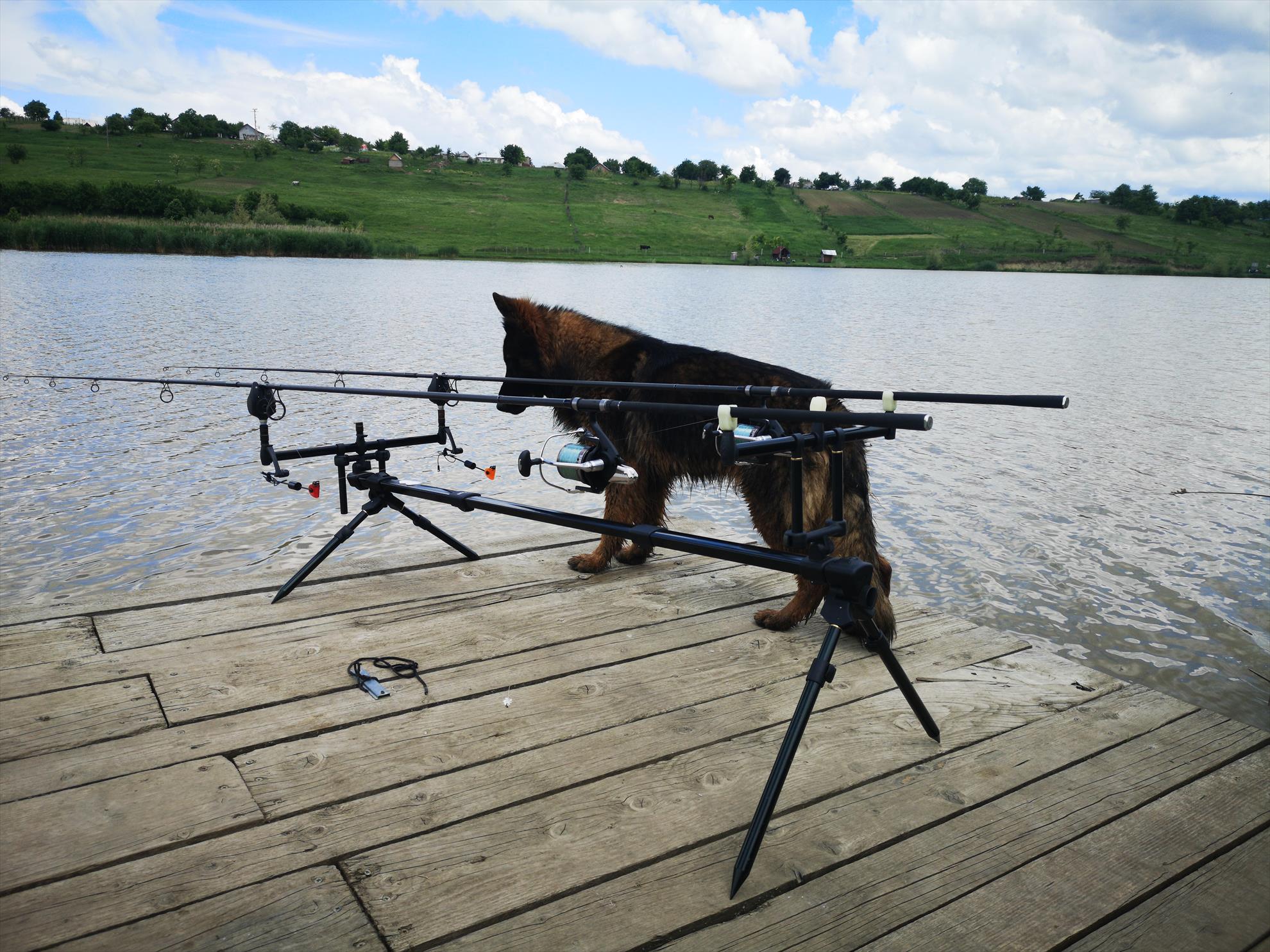 Păușești - img20190524134834.jpg